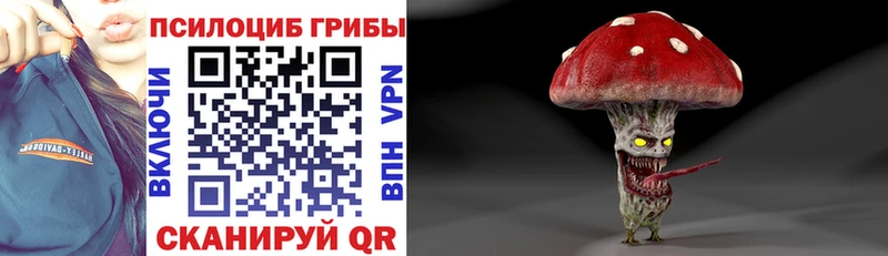 Купить  Казань  Псилоцибиновые грибы ЛСД 
